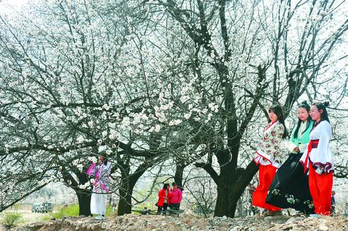 007球探旧版本即时比分界面预览